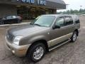 Mineral Gray Metallic - Mountaineer V8 AWD Photo No. 8