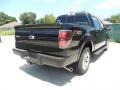 Ebony Black - F150 FX2 SuperCrew Photo No. 3