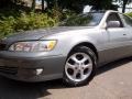 Antique Sage Pearl - ES 300 Sedan Photo No. 25