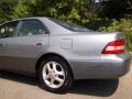 Antique Sage Pearl - ES 300 Sedan Photo No. 26