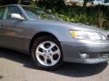 Antique Sage Pearl - ES 300 Sedan Photo No. 31