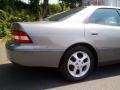 Antique Sage Pearl - ES 300 Sedan Photo No. 32