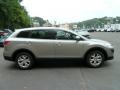 Liquid Silver Metallic - CX-9 Touring AWD Photo No. 5