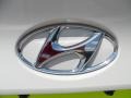 2012 Hyundai Tucson GLS Marks and Logos