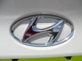 2012 Hyundai Tucson GLS Badge and Logo Photo