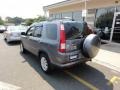 Silver Moss Metallic - CR-V Special Edition 4WD Photo No. 5
