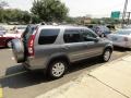 Silver Moss Metallic - CR-V Special Edition 4WD Photo No. 8