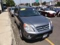 Silver Moss Metallic - CR-V Special Edition 4WD Photo No. 11