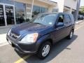 2003 Eternal Blue Pearl Honda CR-V EX 4WD  photo #1
