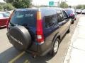 2003 Eternal Blue Pearl Honda CR-V EX 4WD  photo #9