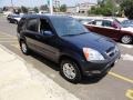 2003 Eternal Blue Pearl Honda CR-V EX 4WD  photo #12