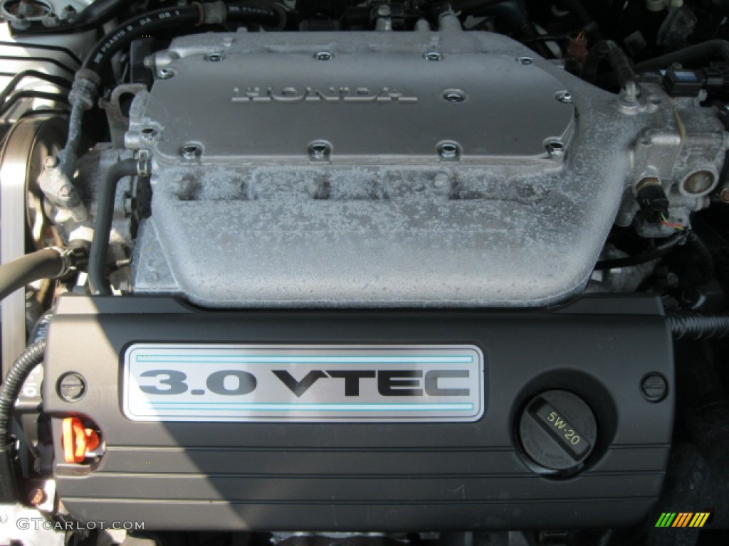 2004 Accord EX V6 Sedan - Taffeta White / Ivory photo #8