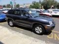 Steel Blue - Santa Fe GLS 4WD Photo No. 10