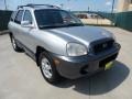 Pewter 2002 Hyundai Santa Fe 2.4