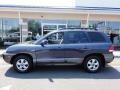 2004 Steel Blue Hyundai Santa Fe GLS 4WD  photo #3