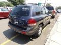 2004 Steel Blue Hyundai Santa Fe GLS 4WD  photo #7