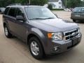 2010 Sterling Grey Metallic Ford Escape XLT  photo #3