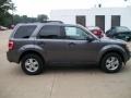 Sterling Grey Metallic - Escape XLT Photo No. 4