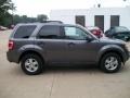 2010 Sterling Grey Metallic Ford Escape XLT  photo #4