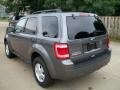 2010 Sterling Grey Metallic Ford Escape XLT  photo #7
