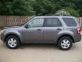 2010 Sterling Grey Metallic Ford Escape XLT  photo #8