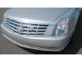 Light Platinum Metallic - DTS  Photo No. 9