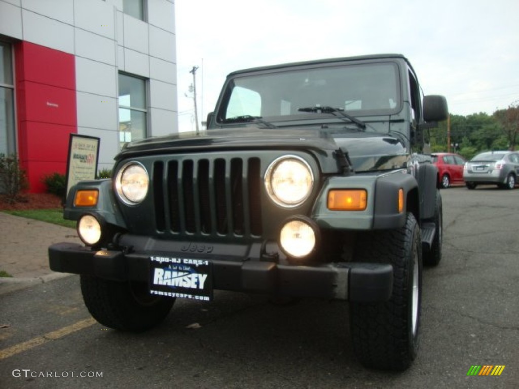 2004 Wrangler Sport 4x4 - Shale Green Metallic / Dark Slate Gray photo #1