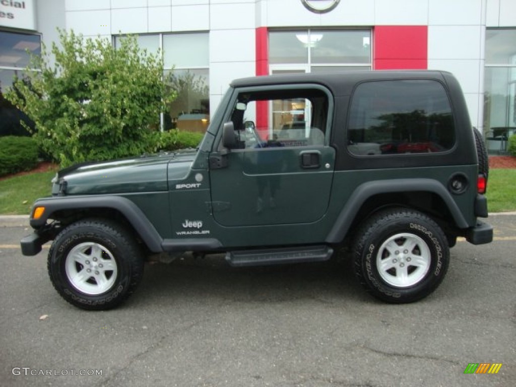 2004 Wrangler Sport 4x4 - Shale Green Metallic / Dark Slate Gray photo #4