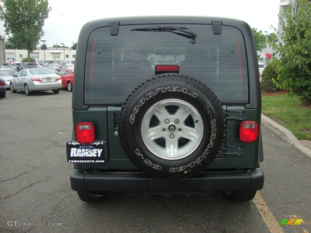 2004 Wrangler Sport 4x4 - Shale Green Metallic / Dark Slate Gray photo #6