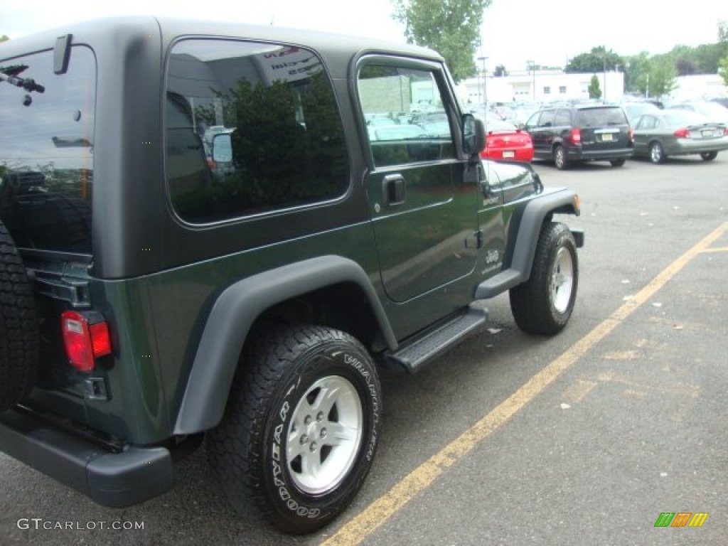 2004 Wrangler Sport 4x4 - Shale Green Metallic / Dark Slate Gray photo #7