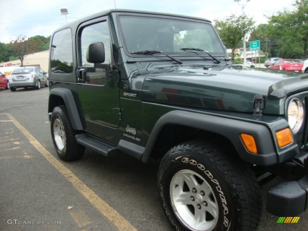2004 Wrangler Sport 4x4 - Shale Green Metallic / Dark Slate Gray photo #9