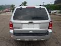 2010 Ingot Silver Metallic Ford Escape XLT 4WD  photo #3