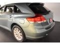 Aloe Green Metallic - Venza I4 Photo No. 4