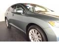 Aloe Green Metallic - Venza I4 Photo No. 6