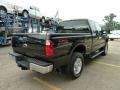 Black - F250 Super Duty XLT SuperCab 4x4 Photo No. 4