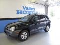 Black Obsidian - Santa Fe GLS 4WD Photo No. 1