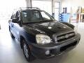 Black Obsidian - Santa Fe GLS 4WD Photo No. 5