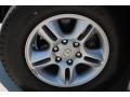 2004 Ash Blue Mica Lexus GX 470  photo #9