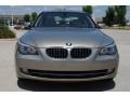 2009 Platinum Bronze Metallic BMW 5 Series 528i Sedan  photo #2