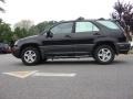 Black Onyx - RX 300 Photo No. 6