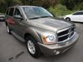 Light Khaki Metallic 2006 Dodge Durango SLT 4x4