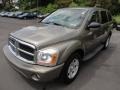 2006 Light Khaki Metallic Dodge Durango SLT 4x4  photo #3