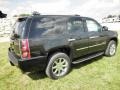 Onyx Black - Yukon Denali AWD Photo No. 31