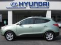 2012 Kiwi Green Hyundai Tucson GLS  photo #1