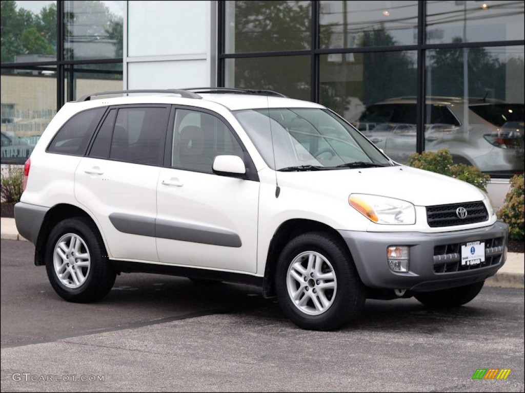 2001 RAV4  - Natural White / Oak photo #1