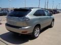 Bamboo Pearl - RX 350 AWD Photo No. 3