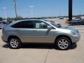 Bamboo Pearl - RX 350 AWD Photo No. 4