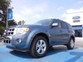 Steel Blue Metallic 2012 Ford Escape Limited Exterior