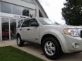 Silver Metallic - Escape XLT Photo No. 7