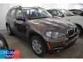 Sparkling Bronze Metallic - X5 xDrive35i Photo No. 1